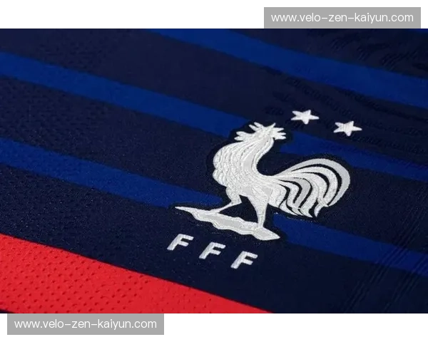 蓝色的浪漫邂逅金色的铁血：当高卢雄鸡再次撞击东欧盾牌