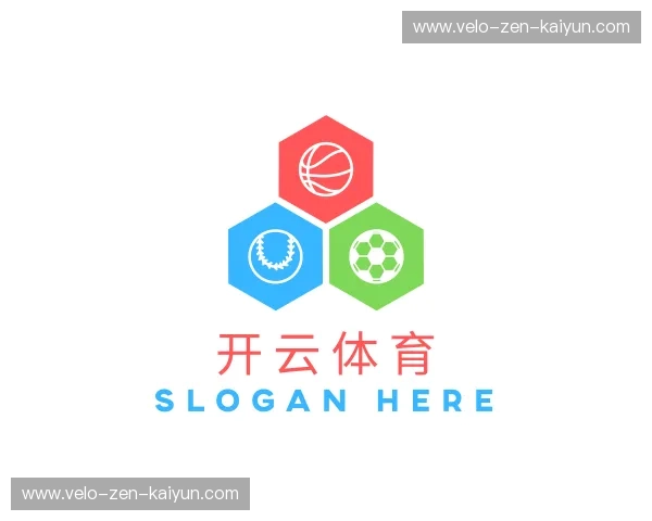 介绍开云体育app下载官方